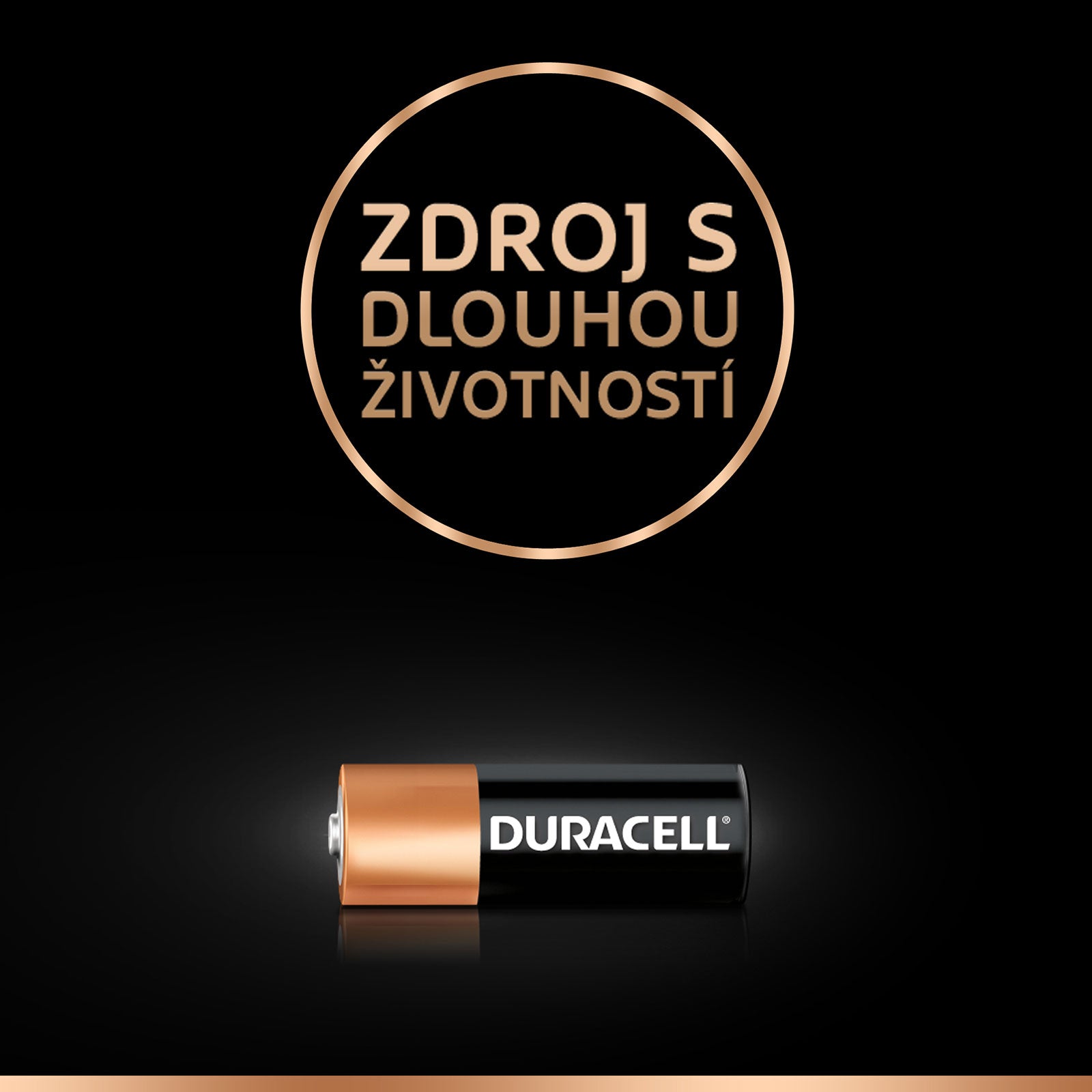 https://centrala.cityrealex.cz/eshop/foto/duracell_spec_h.jpg